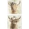 Cow and Crown by Stellar Design Studio 14" x 14" Canvas Wall Art (Set of 2)